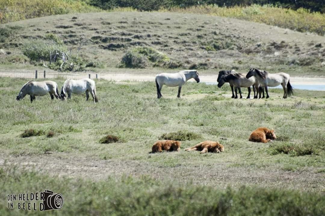 Vila Prachtige Woning Aan De Duinen Den Helder Exteriér fotografie